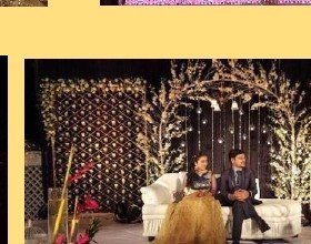 Branch & Crystal Stage Seating - Jaipur Event Management