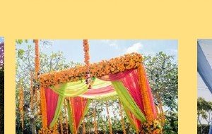Greenery Wall with Marigold Swags - Jaipur Event Management
