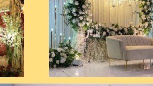 Greenery Arch Stage - Jaipur Event Management